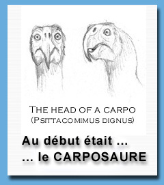 carpo